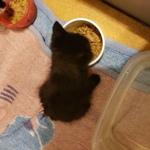 Meet your Posher, Scott